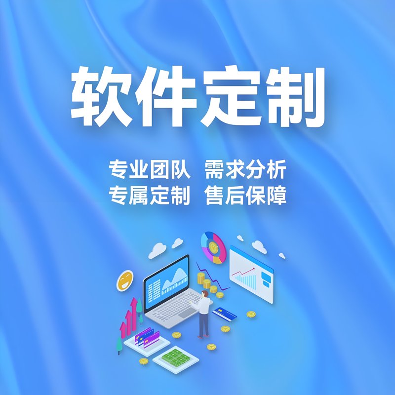 软件定制开发：量身打造企业高效工具